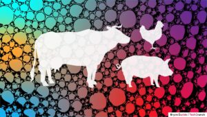 cultivated-meat-2024-v1.jpg