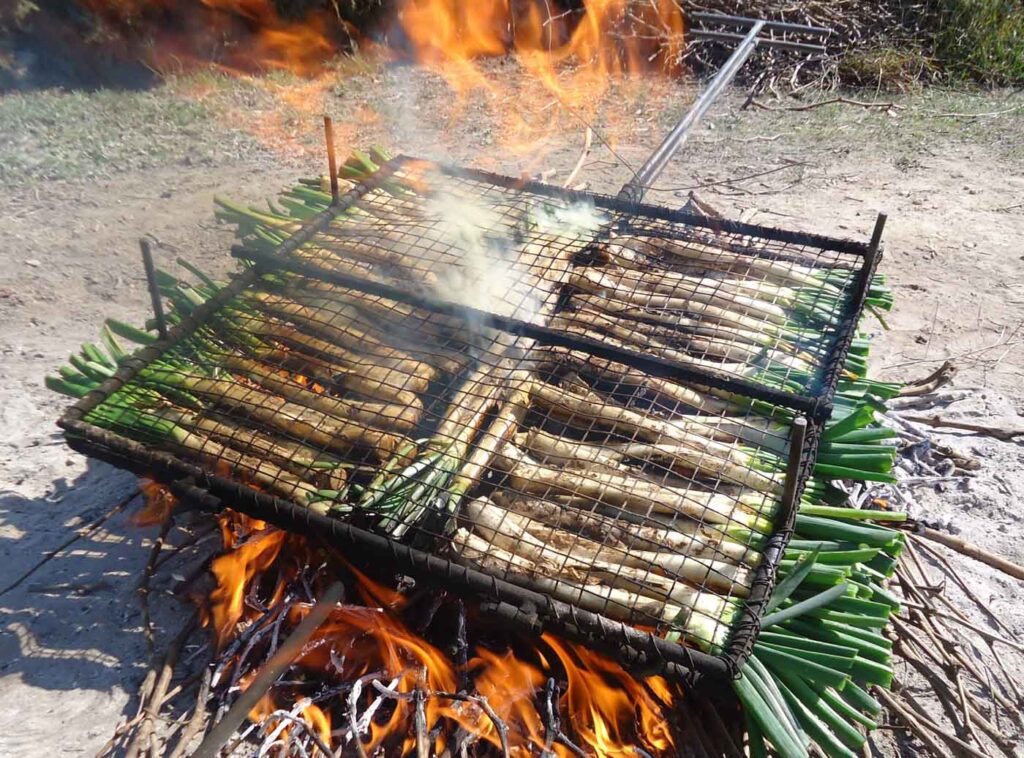 Kur valgyti kalcots Barselonoje